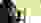 2019-09-08_SM-Thun_G50-3x40_JuniorinnenU21_069_Bischof-Natasha.JPG 2019-09-08_SM-Thun_G50-3x40_JuniorinnenU21_069_Bischof-Natasha.JPG