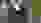 2019-05-20_FeldD_Sieger.JPG 2019-05-20_FeldD_Sieger.JPG