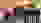 SGM_P50_2019_Sieger.JPG SGM_P50_2019_Sieger.JPG