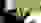 2019-09-03_SM-Thun_G50-liegend-Veteranen_022_Gyger-Roland.JPG 2019-09-03_SM-Thun_G50-liegend-Veteranen_022_Gyger-Roland.JPG