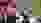 2019-10-13_Final-ShMa_Final-Elite_014.JPG 2019-10-13_Final-ShMa_Final-Elite_014.JPG