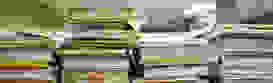 Titelbild_Reglemente und Formulare.jpg Titelbild_Reglemente und Formulare.jpg