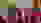 SGM_P50_2019_Rang_2_Wohlen.JPG SGM_P50_2019_Rang_2_Wohlen.JPG