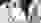 2019-06-26_EG-Minsk_Swiss-Olympic_015.JPG 2019-06-26_EG-Minsk_Swiss-Olympic_015.JPG