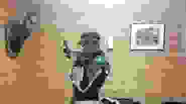 K800_Lars-Faerber_402_G503S_Presse.JPG Lars Färber (Felsberg) erzielte quasi neuen Schweizer Rekord in der Königsdisziplin Gewehr 50m/3-Stellung.