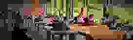 Titelbild SGM G50 2023 Titelbild SGM G50 2023