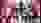 Sportpistole Maenner 25M Bild Dominicbruegger 040 Sportpistole Maenner 25M Bild Dominicbruegger 040