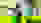 Thurgauer Brüder 1.jpg Thurgauer Brüder 1.jpg