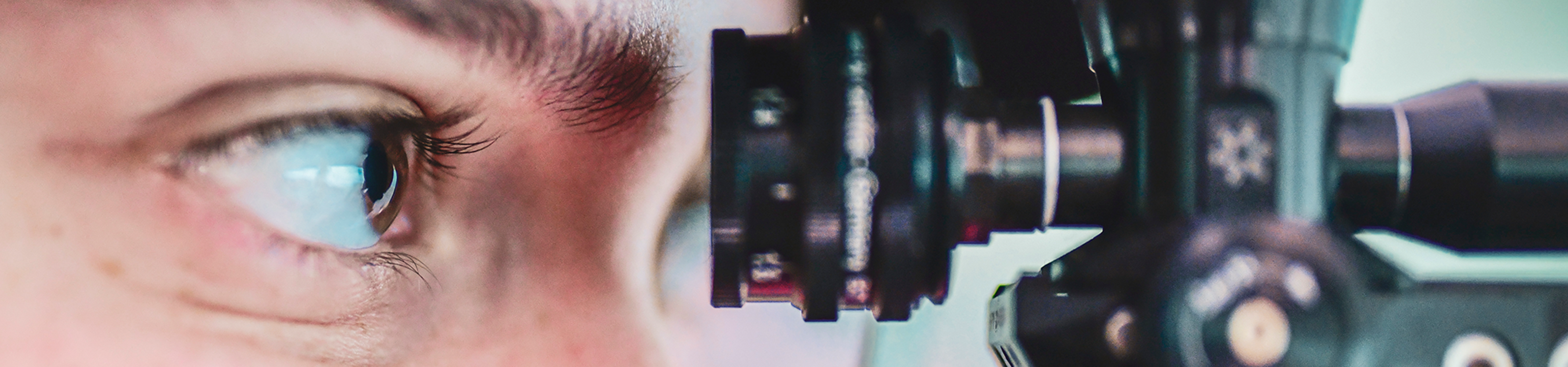 Header-fokus.png