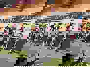 2442.JPG