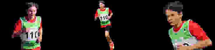 Sandro Gilgen Trenner Erfolge 2026 Sandro Gilgen Trenner Erfolge 2026