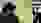 IMG_3753.JPG IMG_3753.JPG