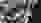 IMG 3071 IMG 3071