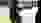 2019-09-01_SM-Thun_P50_B-Programm_037_Krauer-Ueli.JPG 2019-09-01_SM-Thun_P50_B-Programm_037_Krauer-Ueli.JPG