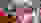 20240818141449 K2A5177 20240818141449 K2A5177