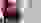 IMG 2592 IMG 2592
