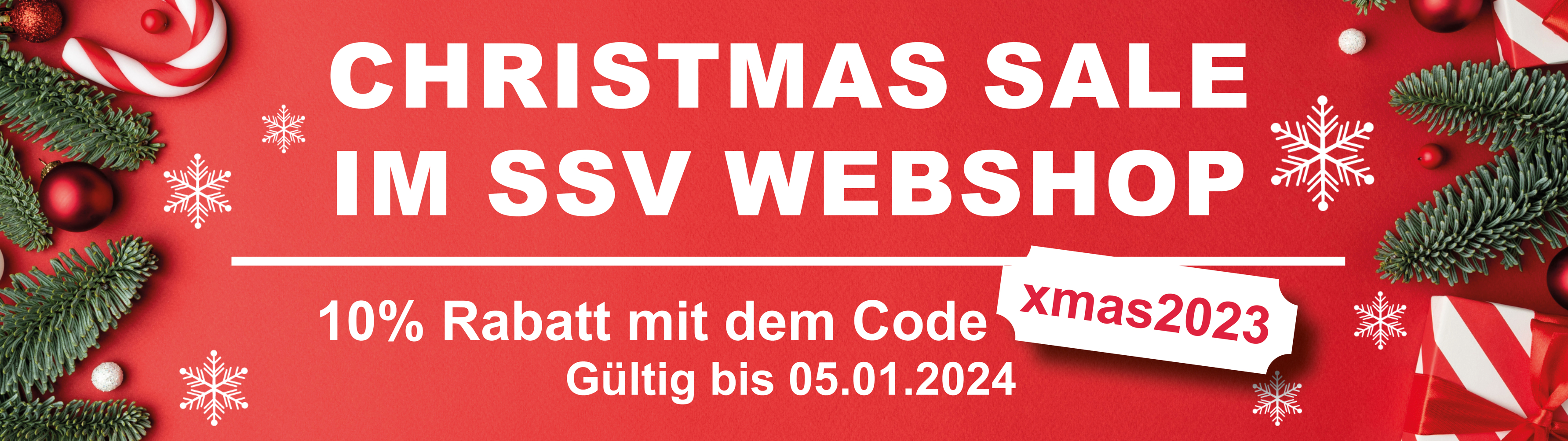 Banner Website Weihnachtsaktion DE