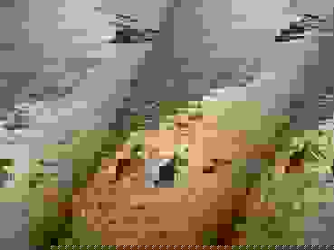 Dario Morandotti Rxv2qwype6s Unsplash Foto: Dario Morandotti_Unsplash