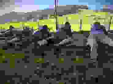 20240824 164852