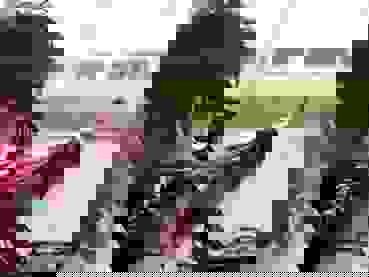 2019-08-29_WC-Rio_Lochbihler.jpeg Jan Lochbihler ist in Rio de Janeiro kaum zu bremsen.