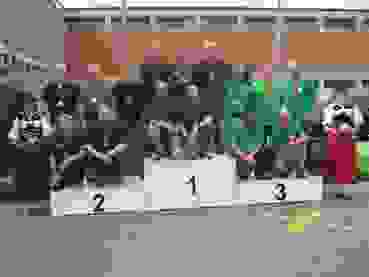 K1024 Kant. GM Final Feld A 2. Langnau Ilfis SV1 1. Zweisimmen Schützen1 3. Schwanden Militär1 Feld A: 2. Langnau-Ilfis SV1, 1. Zweisimmen Schützen1, 3. Schwanden Militär1