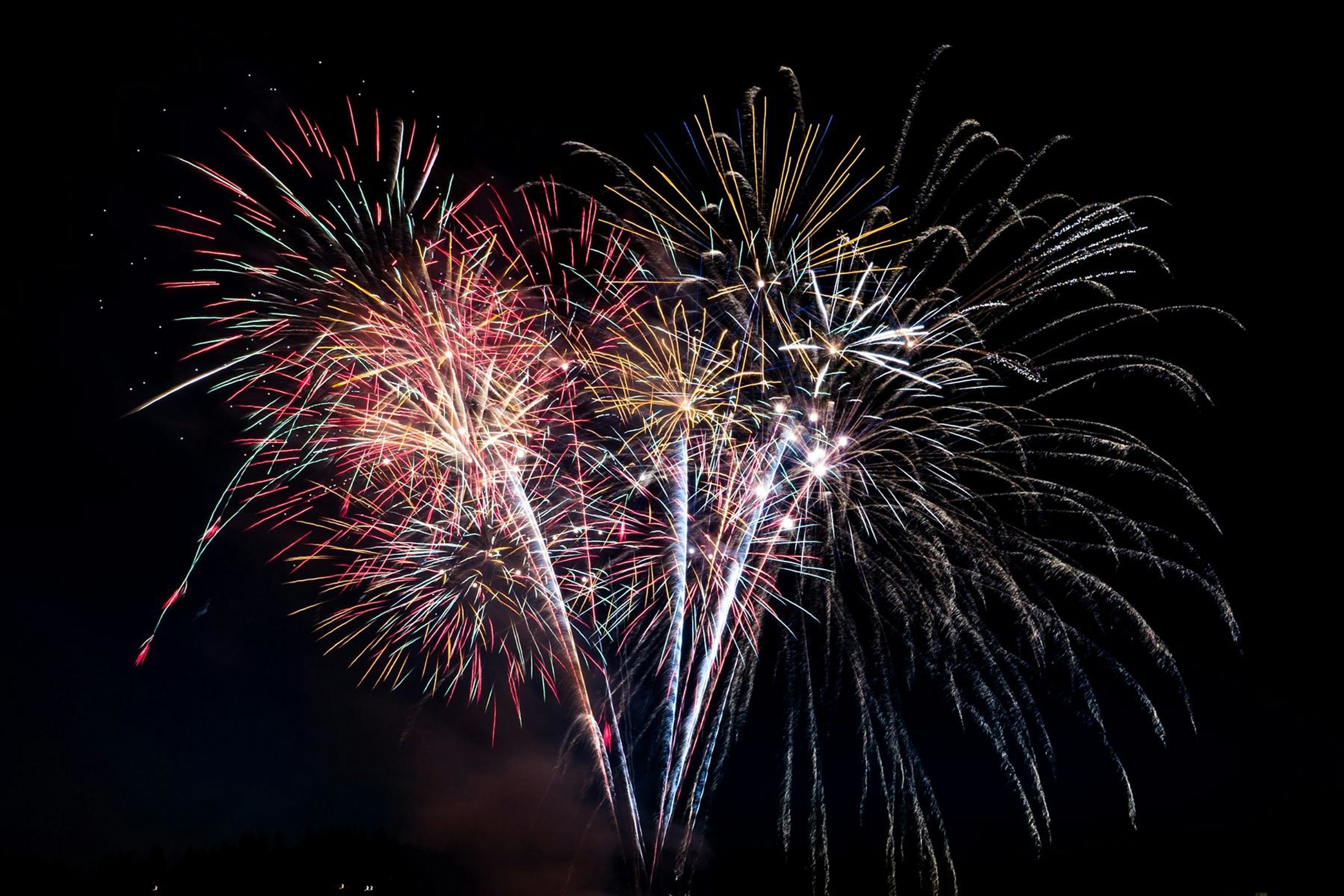Foto: unsplash.com/Elisha Terada