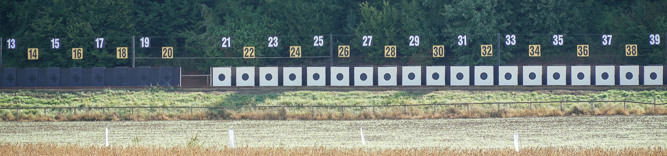 Titelbild Schweizer Gruppenmeisterschaft Gewehr 300M