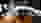2019-04-26_SSV-DV_061.JPG 2019-04-26_SSV-DV_061.JPG