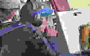 Claude Chenaux.jpg Claude Chenaux siegte bei den Ordonnanzwaffen liegend mit soliden 563 Punkten aus 60 Schüssen.