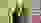 Ausgeloste Preisgewinnerin 1 Ausgeloste Preisgewinnerin 1