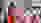20240818141448 K2A5174 20240818141448 K2A5174
