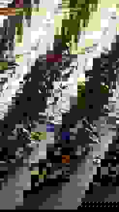 2019-05-16_EC-Aarhus_Guignard.jpeg Silvia Guignard verbesserte ihren eigenen Schweizerrekord um 6 auf 1174 Punkte.